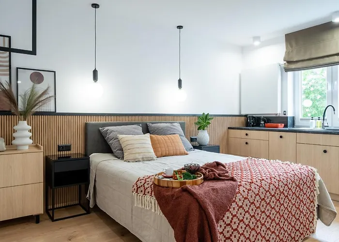 Stara Warszawska 43 公寓 奥尔什丁