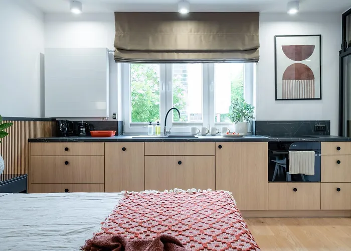 Stara Warszawska 43 公寓 奥尔什丁