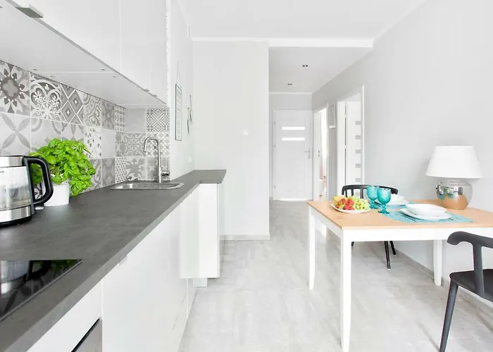 公寓 Stara Warszawska 43 奥尔什丁